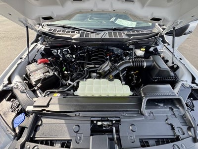 2023 Ford F-150 XL 4WD