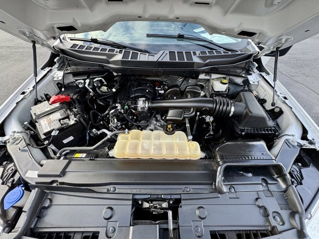 2021 Ford F-150 XL 2WD